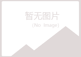 伊春南岔夏青木材有限公司